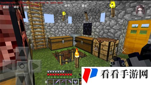 我的世界贝爷振金版