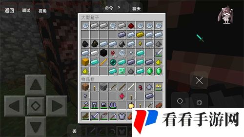 我的世界贝爷振金版