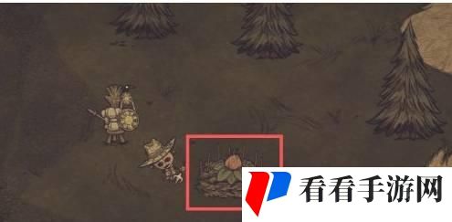 饥荒口袋版