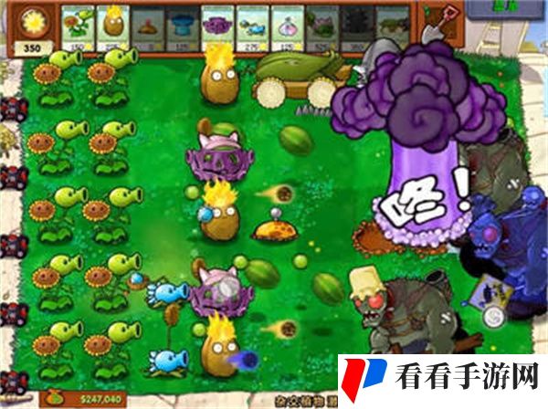 pvz杂交版正版