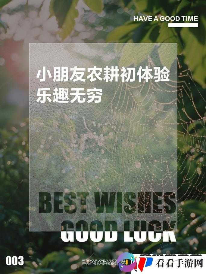 一进一出