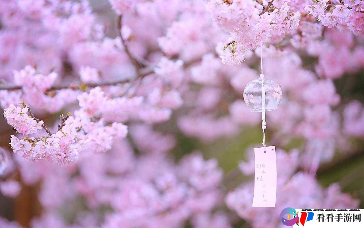 樱花官网官方进入
