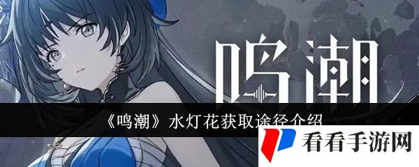 《鸣潮》水灯花获取途径介绍