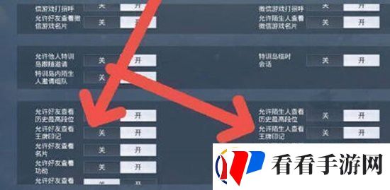 和平精英王牌印记怎么隐藏王牌印记隐藏方法介绍