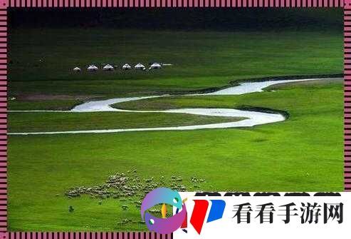 天堂草原电视剧在线观看图片高清