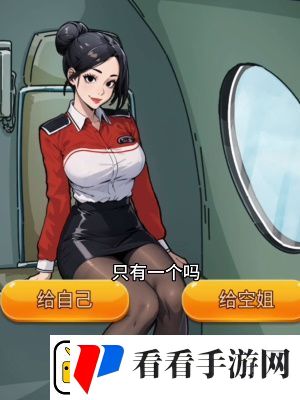 隐秘的档案惊险航班怎么过