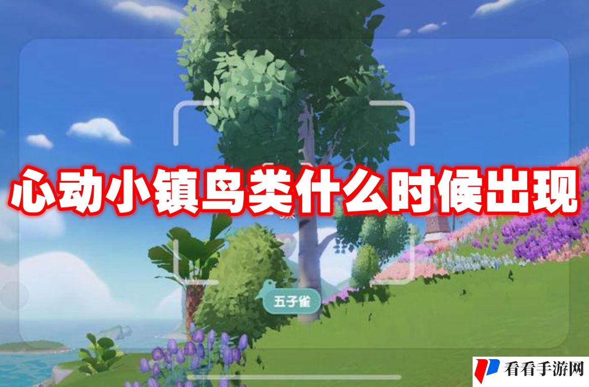 心动小镇鸟类什么时候出现