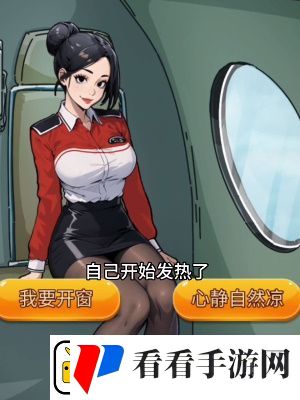 隐秘的档案惊险航班怎么过