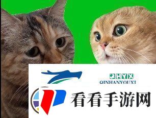 猫猫对话是什么梗络用语