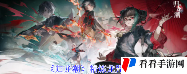 《归龙潮》精炼龙咒方法
