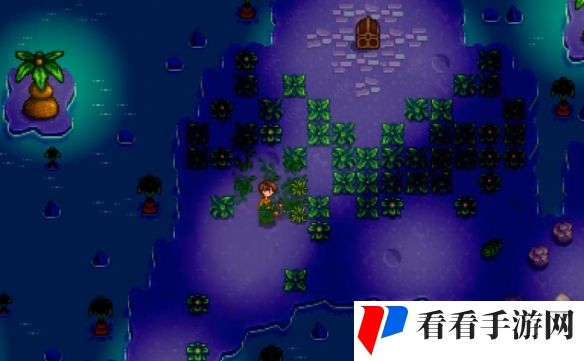 《星露谷物语》女巫小屋位置介绍