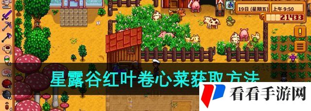 《星露谷物语》红叶卷心菜获取方法