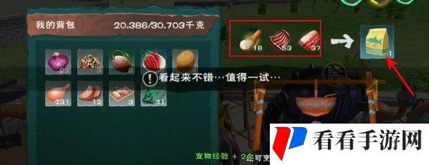 《创造与魔法》幼鲭鲨饲料制作方法