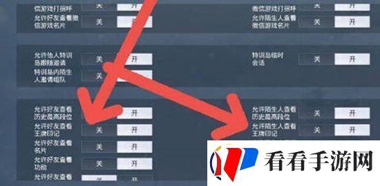 和平精英王牌印记怎么隐藏
