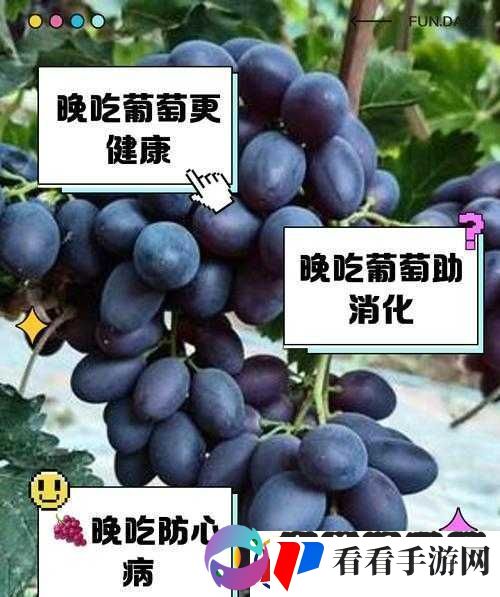 葡萄不准掉出来晚上检查