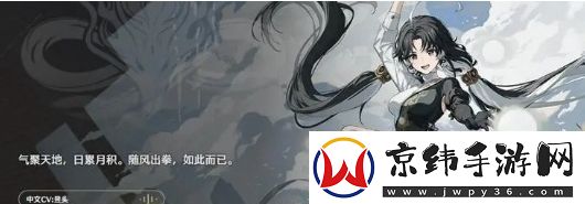 鸣潮新手2号位3号位角色选择推荐