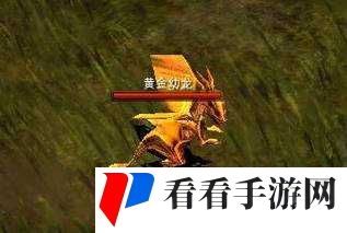 黄金幼龙获取全攻略:全民奇迹中的神秘驯龙之旅