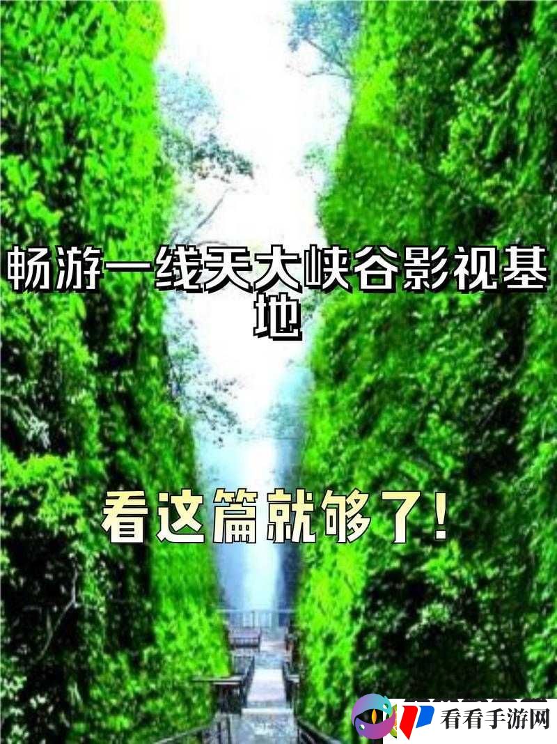 神秘电影五