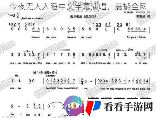 今夜无人入睡中文字幕演唱震撼全网