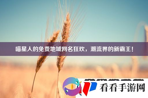 喵星人的免费地域网名狂欢
