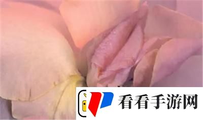 探讨“女人私密肥大”的影响与应对方法