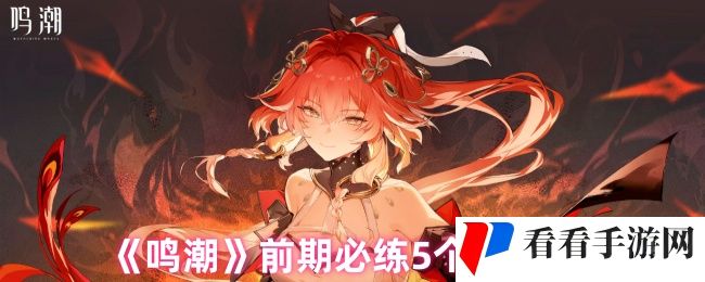 《鸣潮》前期必练5个角色分析