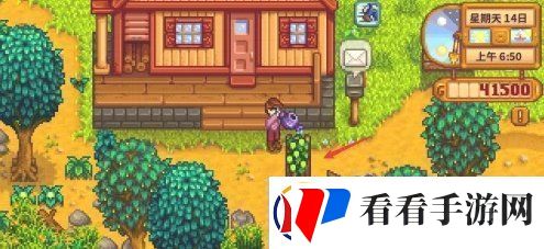 星露谷物语淡啤酒怎么获得
