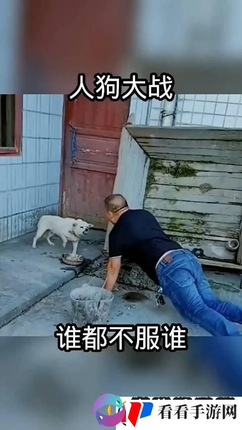 狗血淋头函数构建大挑战！——游戏界的荒诞现象级事件