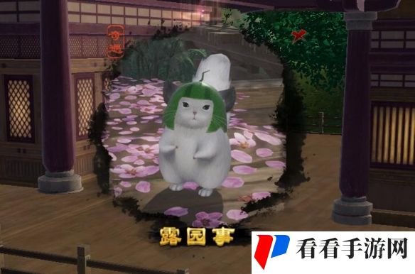 《剑网3》露园事宠物奇遇攻略