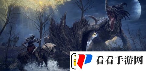 72岁老玩家打通艾尔登法环本体及DLC八周目