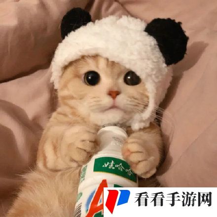 2021年最火的微信头像大全分享高清原图