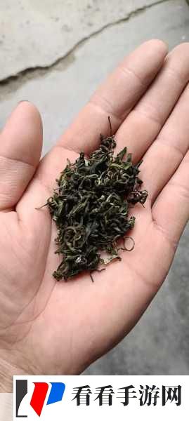 成都新茶嫩茶wx600