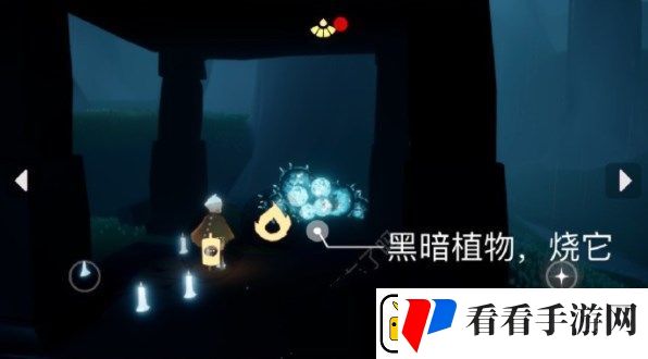 光遇8.29任务怎么做