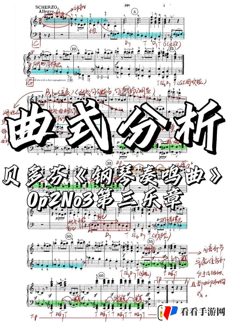 探索音乐之旅