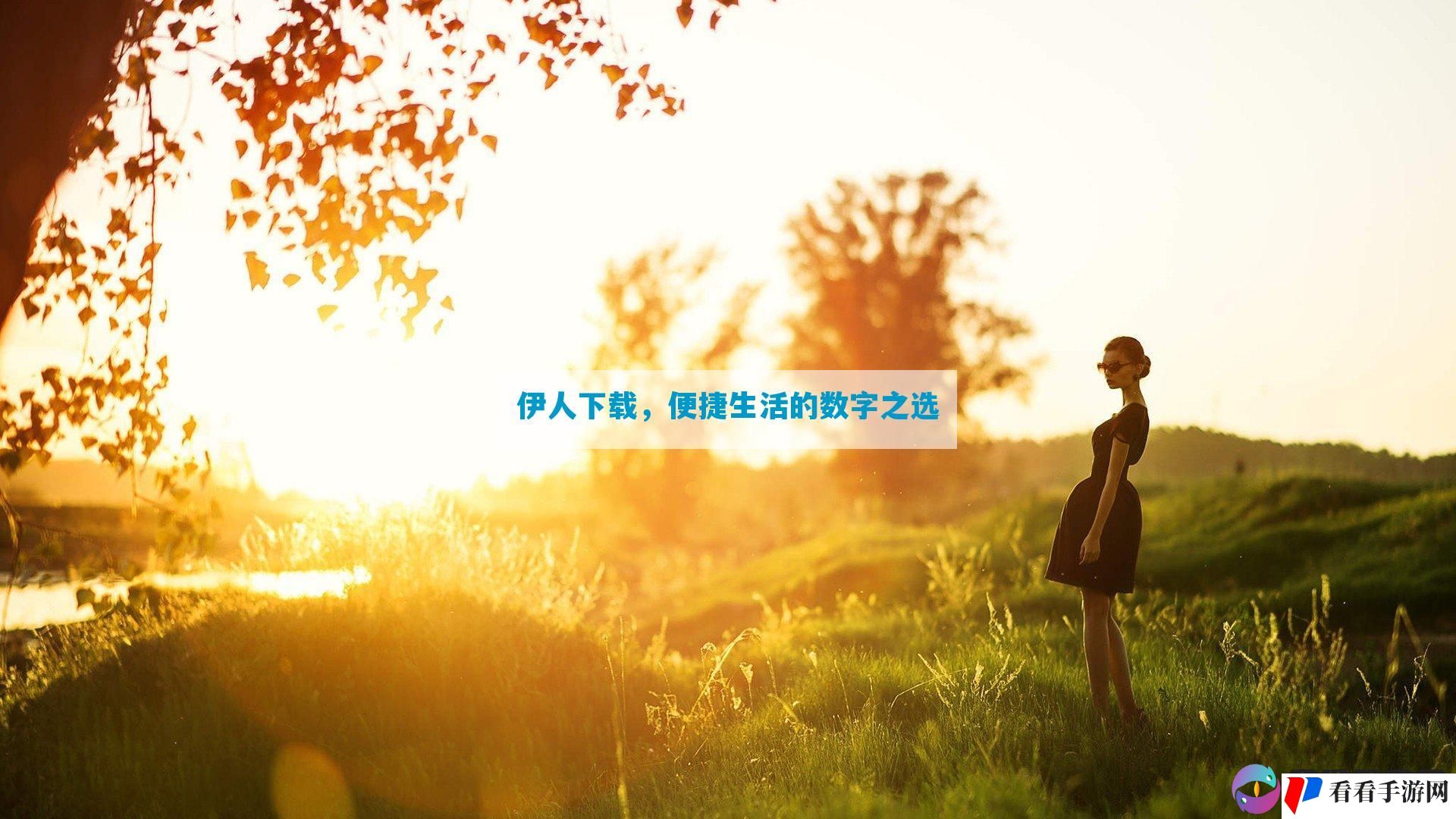 伊人下载，便捷生活的数字之选