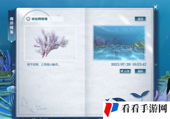 《逆水寒》网枝柳珊瑚在哪
