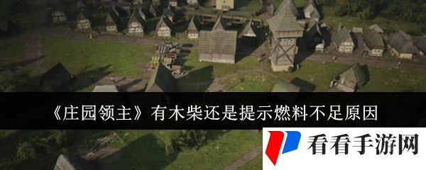 《庄园领主》有木柴还是提示燃料不足原因
