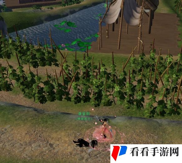 《剑网3》露园事宠物奇遇攻略