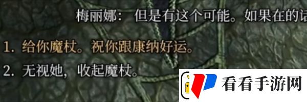 博德之门3梅丽娜法杖任务怎么完成