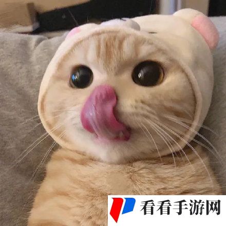 2021年最火的微信头像大全分享高清原图