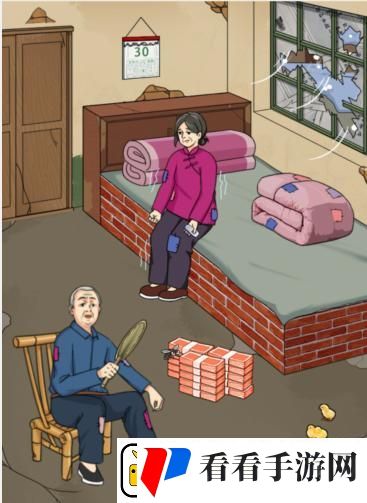 就我眼神好回家看看帮助老人改善生活通关攻略
