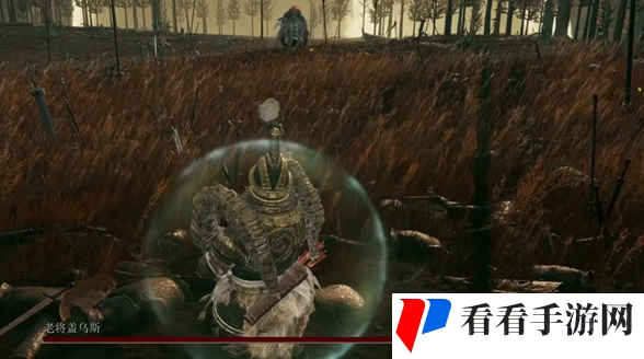 《艾尔登法环》dlc剑型长矛怎么获取
