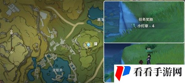 《原神》4.5小灯草在哪采集