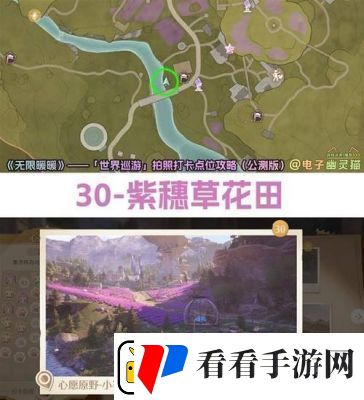 无限暖暖世界巡游39号千愿巨树拍照打卡攻略
