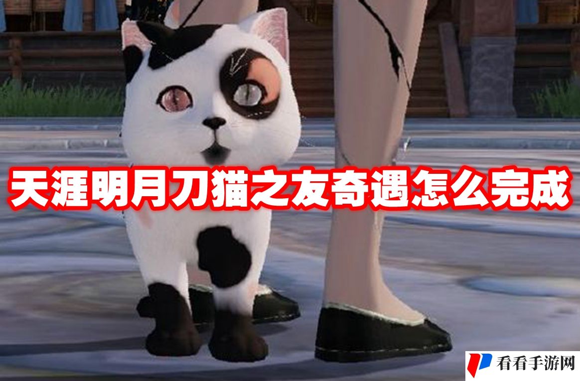 天涯明月刀猫之友奇遇怎么完成