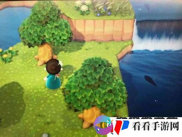 动物之森地面蛋获取方法