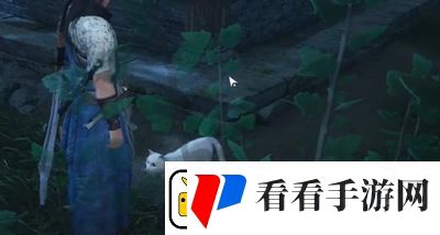 燕云十六声清河猫咪位置攻略总结【详细图解】