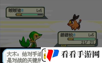 口袋妖怪圣光白怎么过