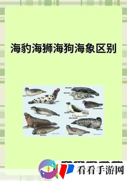 AAAA级毛皮最火的一句透露了中文社区开放信息深度解析AAAA级毛皮在中文社区的热潮与趋势
