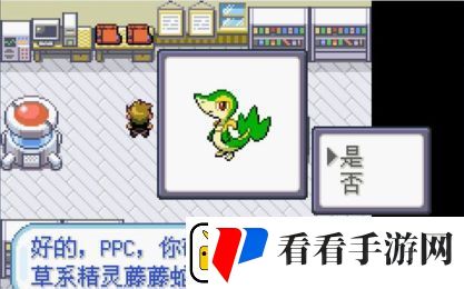 口袋妖怪圣光白怎么过